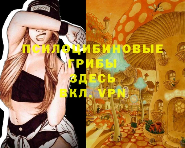 молекула духа Алексеевка