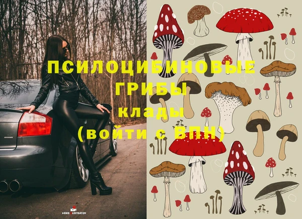 молекула духа Алексеевка