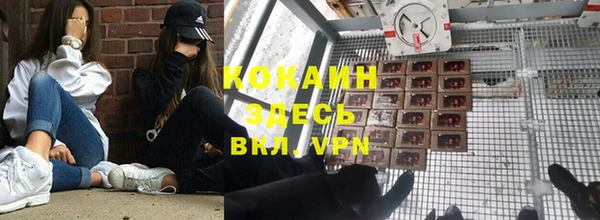 молекула духа Алексеевка