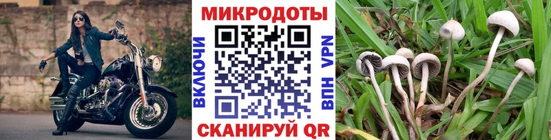 купить наркоту  Чадан  площадка наркотические препараты  Галлюциногенные грибы мицелий 